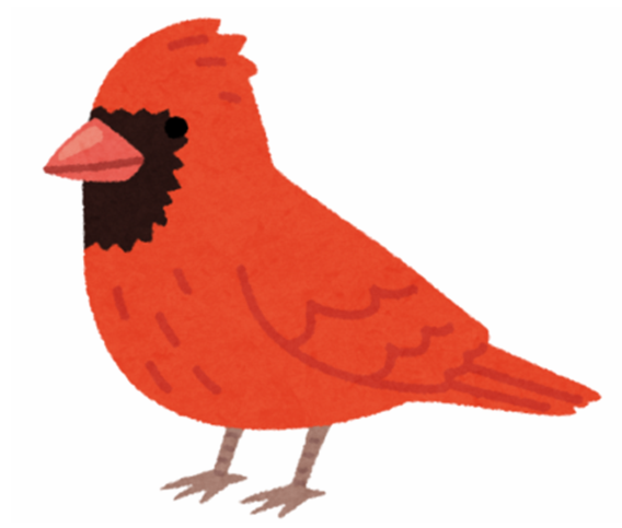 Bird Burglars